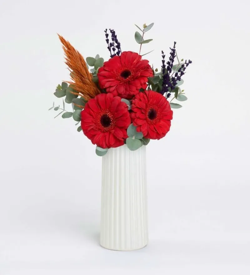 Beyaz Çizgili Polimer Vazoda Kırmızı Gerberalar