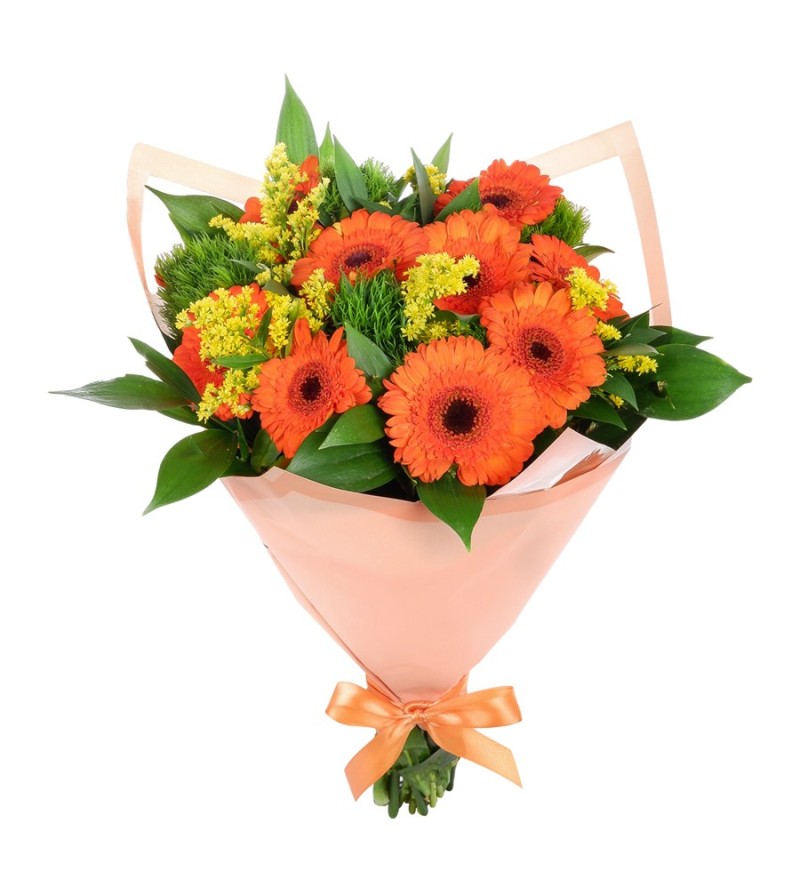 Turuncu Gerbera