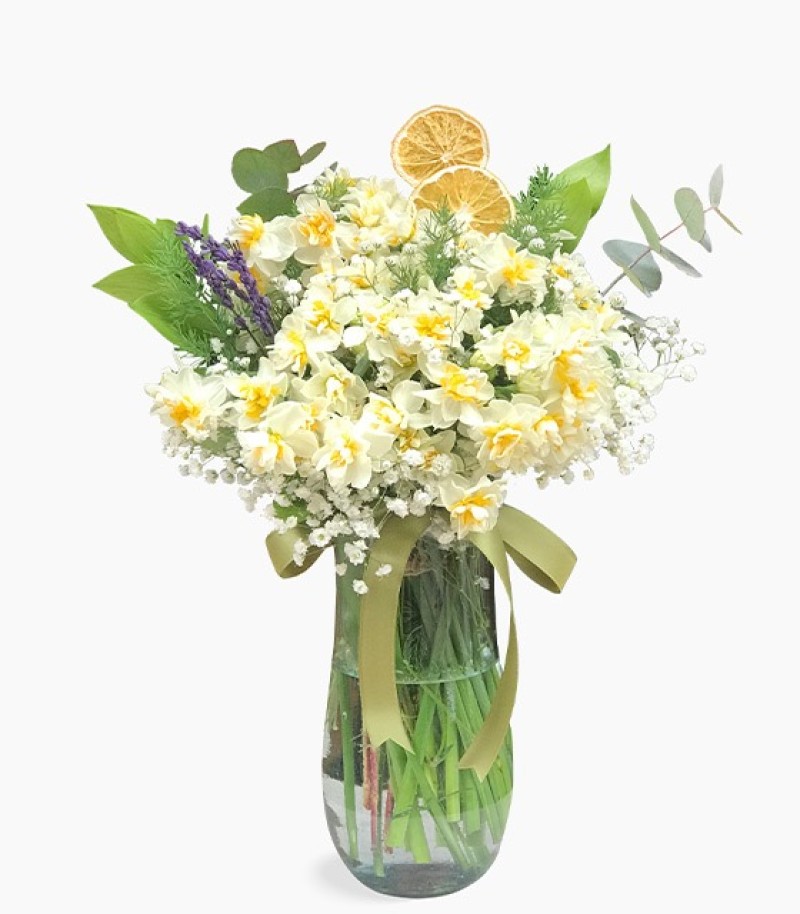 Vazoda Kokulu Nergis