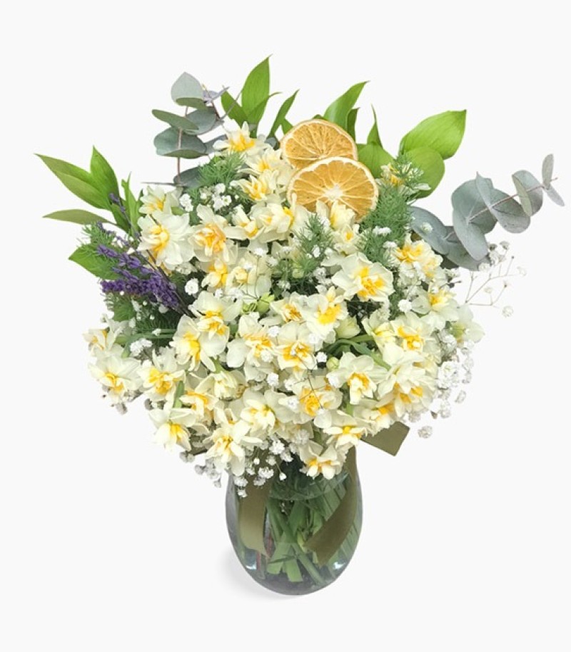 Vazoda Kokulu Nergis