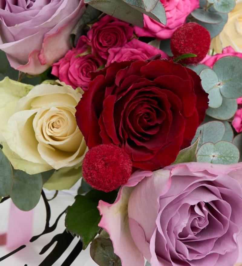 Kelebek Bukette Kırmızı, Lila ve Beyaz Güller