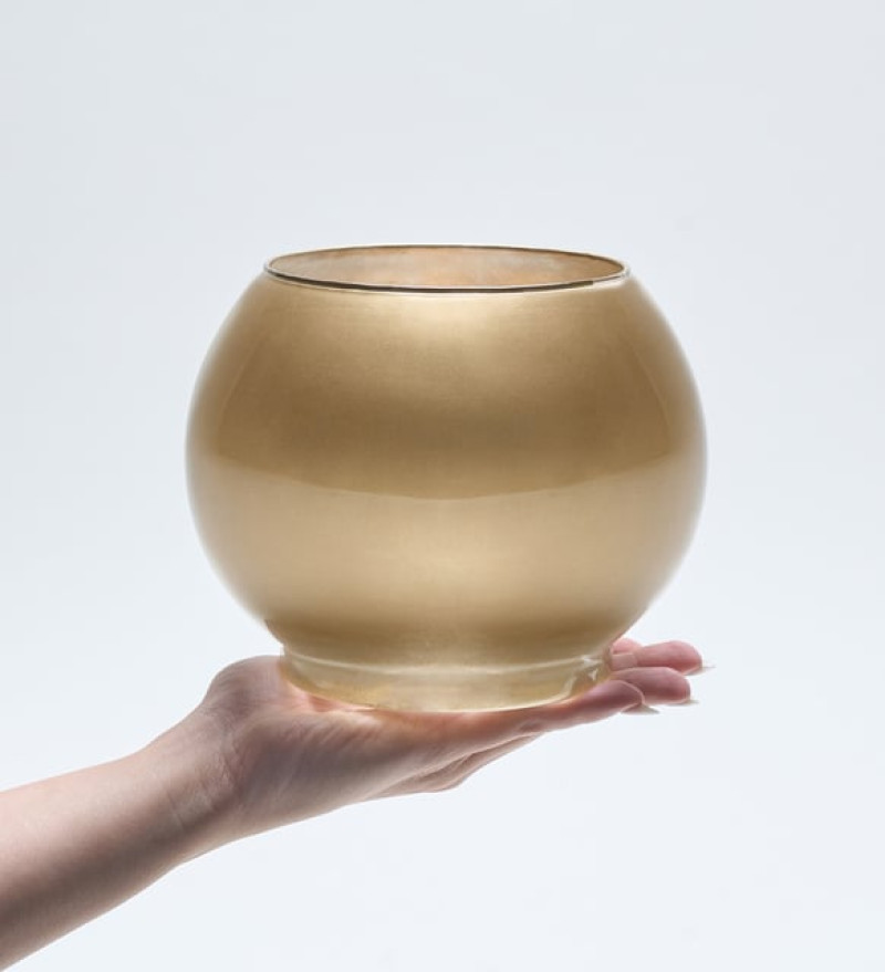 Altın Renkli Akvaryum Saksıda Beyaz Çiftli Orkide