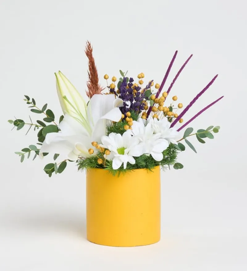  Sarı Saksıda Beyaz Lilyum ve Beyaz Papatyalar Zambak